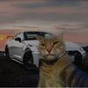 the_salam4