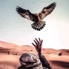 7pop_7
