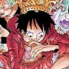 luffy_wife1