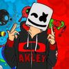 dima.shgsh02