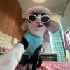TheGreatCatsby