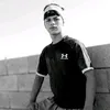 fesal_2008