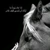 user5406504285303