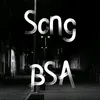 whenbsadown