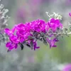 ttdt345