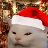 notthesillycatuser