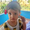 janu.pc2