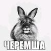 skibidi_sigma_flow_taper