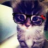 zinuniverse.__