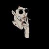 david.hamdani1