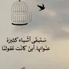 user95467515937692