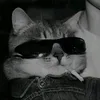 bubbydabs