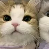 itzzzyr_joshua