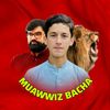 muawwiz01