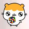 r11cube
