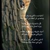 amoonh_1996_11