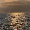 user1401236381745