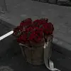 alllldineee