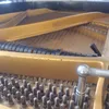 rpaynepiano