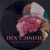 bint.bshr_