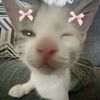 love_luiz_2022