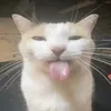 .matxaw