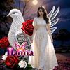 hanna83370