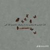 suad2338