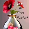 user5009086681680