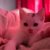 user_20312