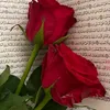 user586859818883