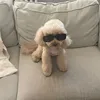 greta_2821