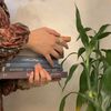 zainab61401