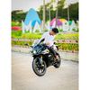 lps_alamin_12