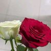 sdfcghvccgh