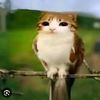 angel_agy