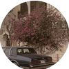 nour.alihabashy