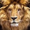 jack.cham26