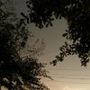 ainoor