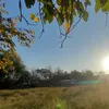 luor_444