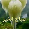 abo_raed524