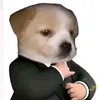 hoangdavid04