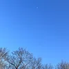 floatingbutterfly77