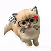kim_ngan.ne10