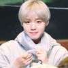 529jihoon_