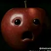 mnhhng493