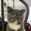 nguyenkittyxik317