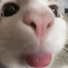 suarez_604