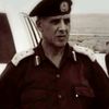alsaltny.74