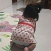 azurararaa_